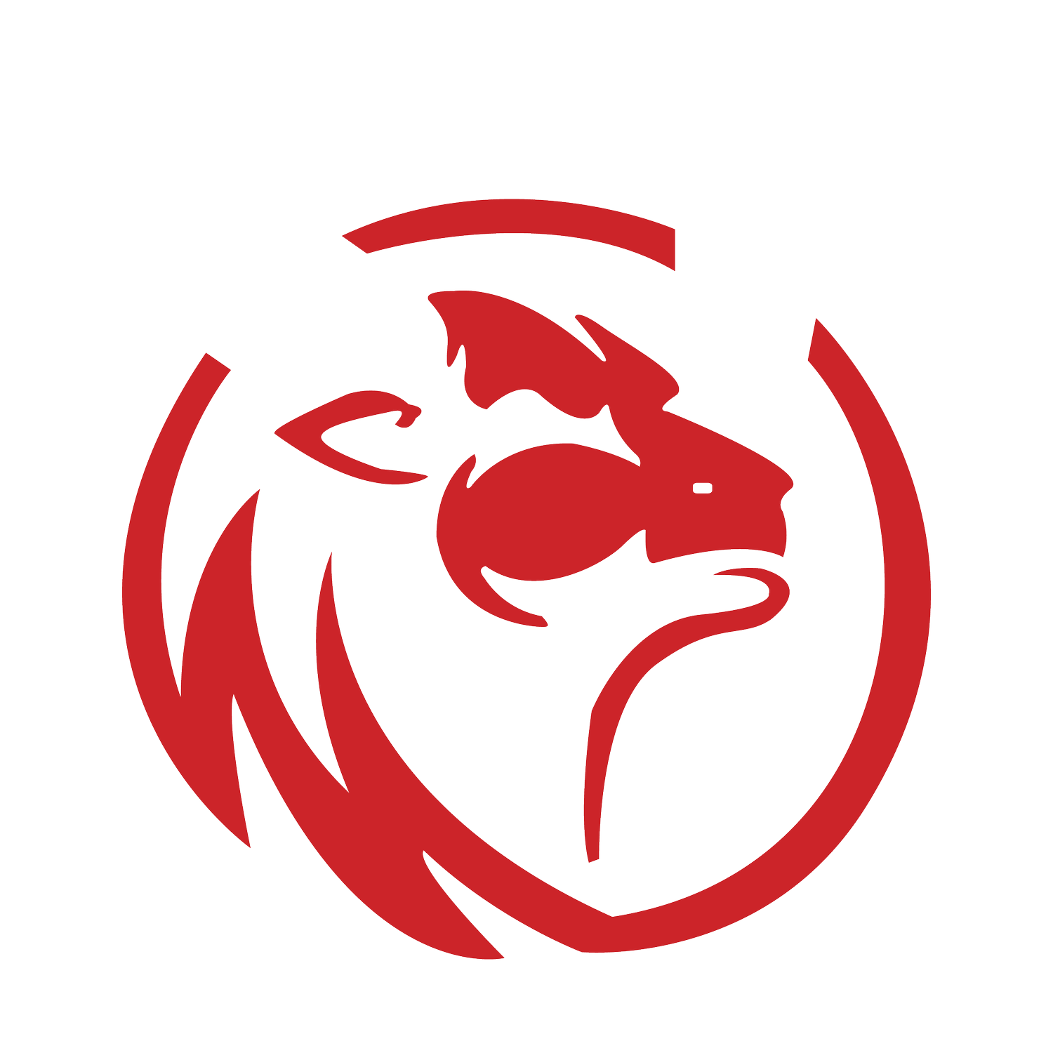 Ravage Designs logo